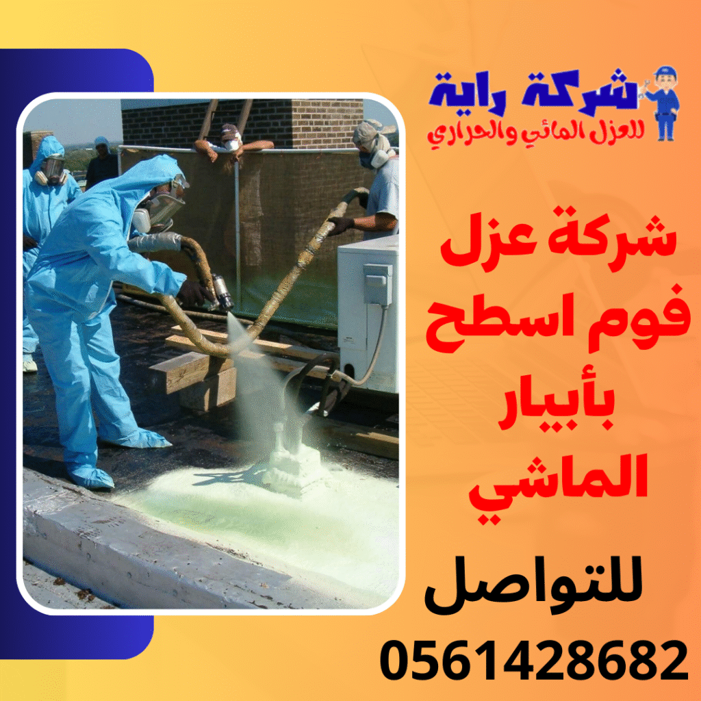 شركة عزل اسطح بأبيار الماشي 0561428682 Digital Marketing Agency Instagram Post 1 1024x1024